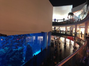 Only in Dubai... an aquarium inside a mall