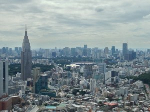 The never-ending cityscape of Tokyo