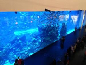 Aquarium in a mall