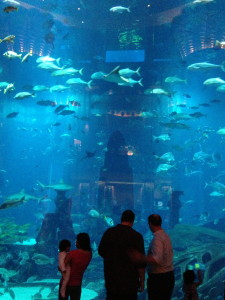 Aquarium at Atlantis Palm