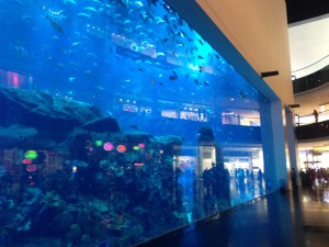 The World's largest acrylic glass panel at the Dubai Mall