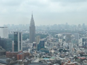 View from the Park Hyatt Tokyo lobby
